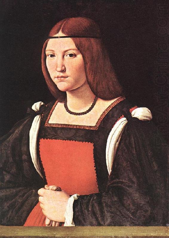 Portrait of a Young Woman 55, BOLTRAFFIO, Giovanni Antonio
